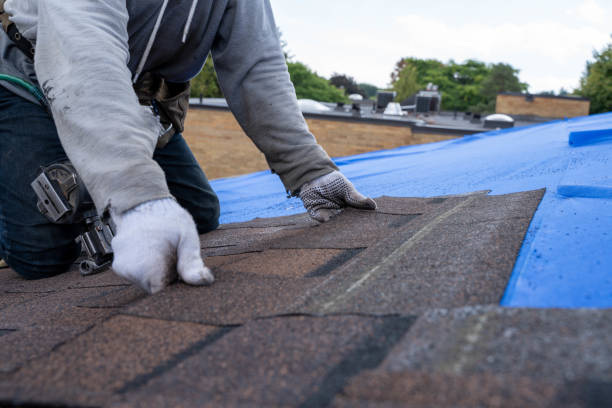 Best Emergency Roof Repair Services  in Algonquin, IL